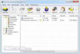 Internet Download Manager IDM 6