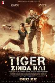 Tiger Zinda Hai 2017