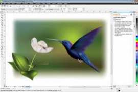 Corel Draw X5