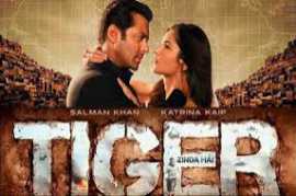 Tiger Zinda Hai 2017